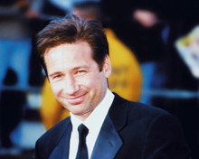 DAVID DUCHOVNY CANDID PRINTS AND POSTERS 240428