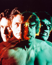 BILL BIXBY TURNS THE INCREDIBLE HULK PRINTS AND POSTERS 240358