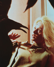 THE BIRDS TIPPI HEDREN PRINTS AND POSTERS 239660