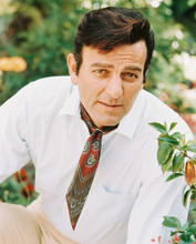 MIKE CONNORS AS MANNIX PRINTS AND POSTERS 239585