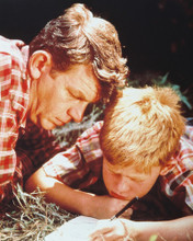 THE ANDY GRIFFITH SHOW RON HOWARD PRINTS AND POSTERS 239511