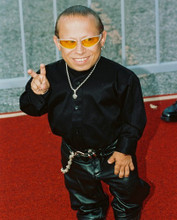 VERNE TROYER PRINTS AND POSTERS 239393