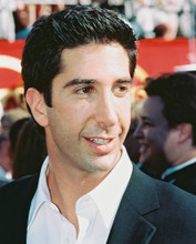 DAVID SCHWIMMER PRINTS AND POSTERS 239359