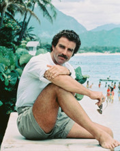 TOM SELLECK MAGNUM HAWAII OCEAN MOUNTAINS PRINTS AND POSTERS 238954
