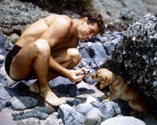 GUY MADISON HUNKY PRINTS AND POSTERS 238467