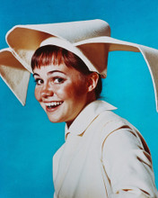 SALLY FIELD THE FLYING NUN PRINTS AND POSTERS 238376