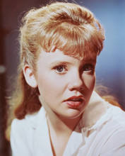 HAYLEY MILLS PRINTS AND POSTERS 238074