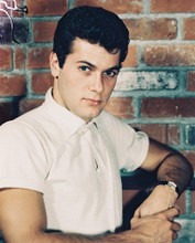 TONY CURTIS PRINTS AND POSTERS 237518