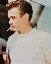 REBEL WITHOUT A CAUSE JAMES DEAN PRINTS AND POSTERS 237114