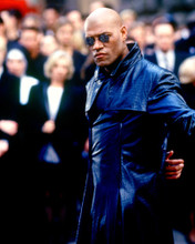 LAURENCE FISHBURNE LEATHER JACKET PRINTS AND POSTERS 236706