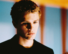 RYAN PHILLIPPE PRINTS AND POSTERS 236426