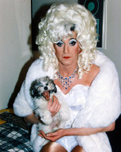 LILY SAVAGE PRINTS AND POSTERS 236027