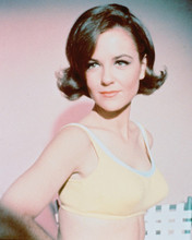 SHELLEY FABARES PRINTS AND POSTERS 235896
