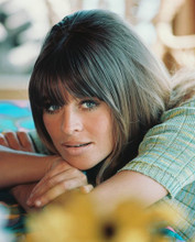 JULIE CHRISTIE PRINTS AND POSTERS 235845