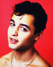 SAL MINEO BARECHESTED PRINTS AND POSTERS 235589