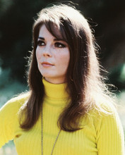 NATALIE WOOD BEAUTIFUL YELLOW SWEATER RARE PRINTS AND POSTERS 235235