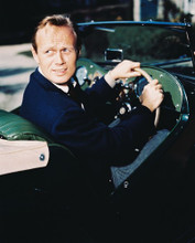 RICHARD WIDMARK PRINTS AND POSTERS 235228