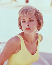 JANET LEIGH PRINTS AND POSTERS 235083