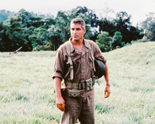 THE THIN RED LINE GEORGE CLOONEY PRINTS AND POSTERS 234974