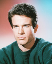 WARREN BEATTY PRINTS AND POSTERS 234942