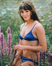 LESLEY-ANNE DOWN YOUNG STRIKING PRINTS AND POSTERS 2349