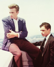 JAMES DEAN & SAL MINEO PRINTS AND POSTERS 234879