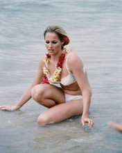URSULA ANDRESS PRINTS AND POSTERS 234855