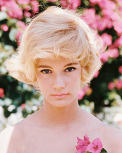 YVETTE MIMIEUX PRINTS AND POSTERS 234660