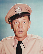 DON KNOTTS THE ANDY GRIFFITH SHOW PRINTS AND POSTERS 234633