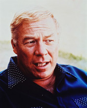 GEORGE KENNEDY PRINTS AND POSTERS 234621