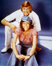 THE CARPENTERS PRINTS AND POSTERS 234513