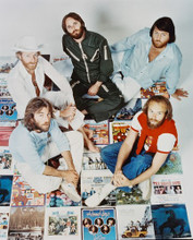 THE BEACH BOYS CONCERT PRINTS AND POSTERS 234476