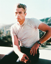 REBEL WITHOUT A CAUSE JAMES DEAN WHITE T-SHIRT PRINTS AND POSTERS 234364