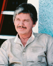 CHARLES BRONSON PRINTS AND POSTERS 233985