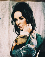 ELIZABETH TAYLOR PRINTS AND POSTERS 23376