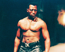 WESLEY SNIPES PRINTS AND POSTERS 233751