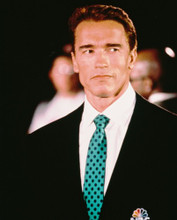 ARNOLD SCHWARZENEGGER PRINTS AND POSTERS 233739