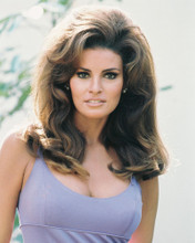 RAQUEL WELCH BEAUTIFUL RARE POSE PRINTS AND POSTERS 233498