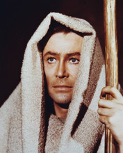 THE BIBLE PETER O'TOOLE PRINTS AND POSTERS 233485