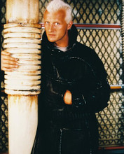 RUTGER HAUER BLADE RUNNER PRINTS AND POSTERS 23323