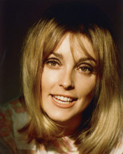 SHARON TATE PRINTS AND POSTERS 232781