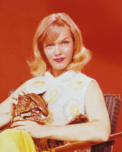 ANNE FRANCIS PRINTS AND POSTERS 232739