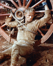 RICHARD WIDMARK LAST WAGON TIED UP PRINTS AND POSTERS 232572