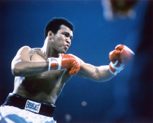 MUHAMMAD ALI IN ACTION BOXING PRINTS AND POSTERS 232280