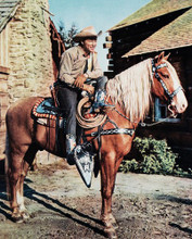 ROY ROGERS AND TRIGGER PRINTS AND POSTERS 231986