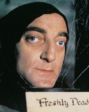 MARTY FELDMAN YOUNG FRANKENSTEIN PRINTS AND POSTERS 231011