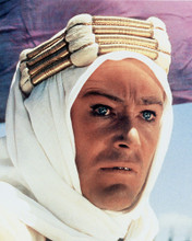 PETER O'TOOLE LAWRENCE OF ARABIA POSE PRINTS AND POSTERS 230624