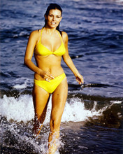 RAQUEL WELCH PRINTS AND POSTERS 230259