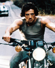 FIRST BLOOD SYLVESTER STALLONE MOTORBIKE PRINTS AND POSTERS 230236
