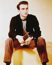 MONTGOMERY CLIFT PRINTS AND POSTERS 230021